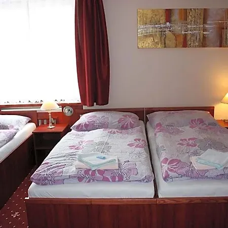 Hotell Hynek 3*